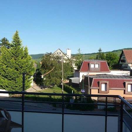 Le Parc Du Marlenberg Apartment Marlenheim Bagian luar foto