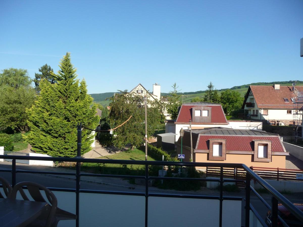 Le Parc Du Marlenberg Apartment Marlenheim Bagian luar foto